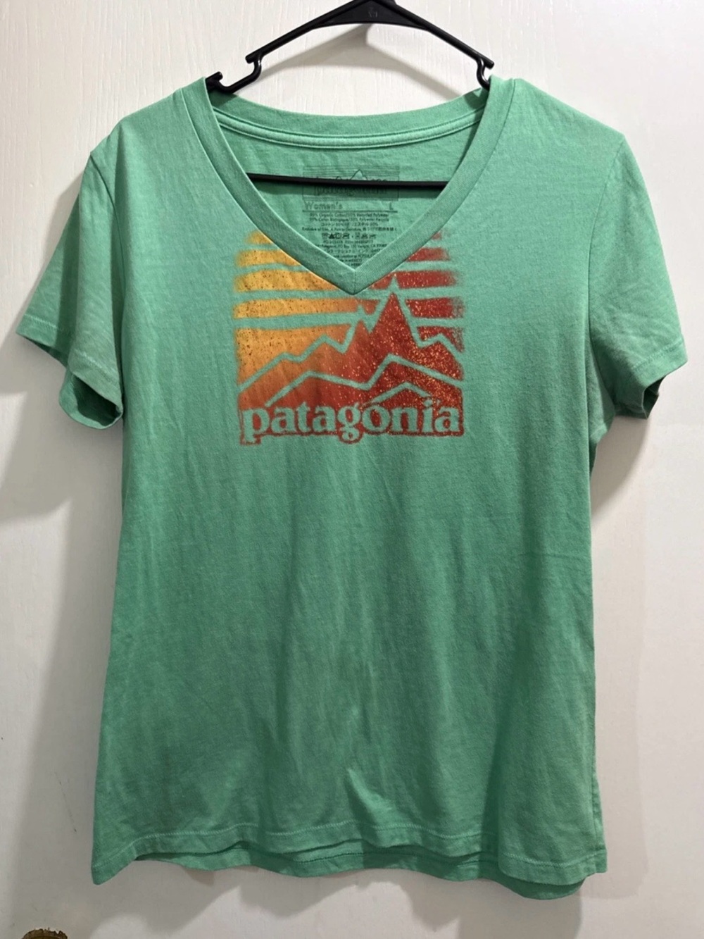 Patagonia Women's Seafoam V-Neck Graphic Tee